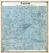 Salem Township, Mill Pond, Hamond Springs, Big Rabbit River, Allegan County 1873